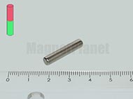 4x20 mm N40 NEODYM m�gnes r�d